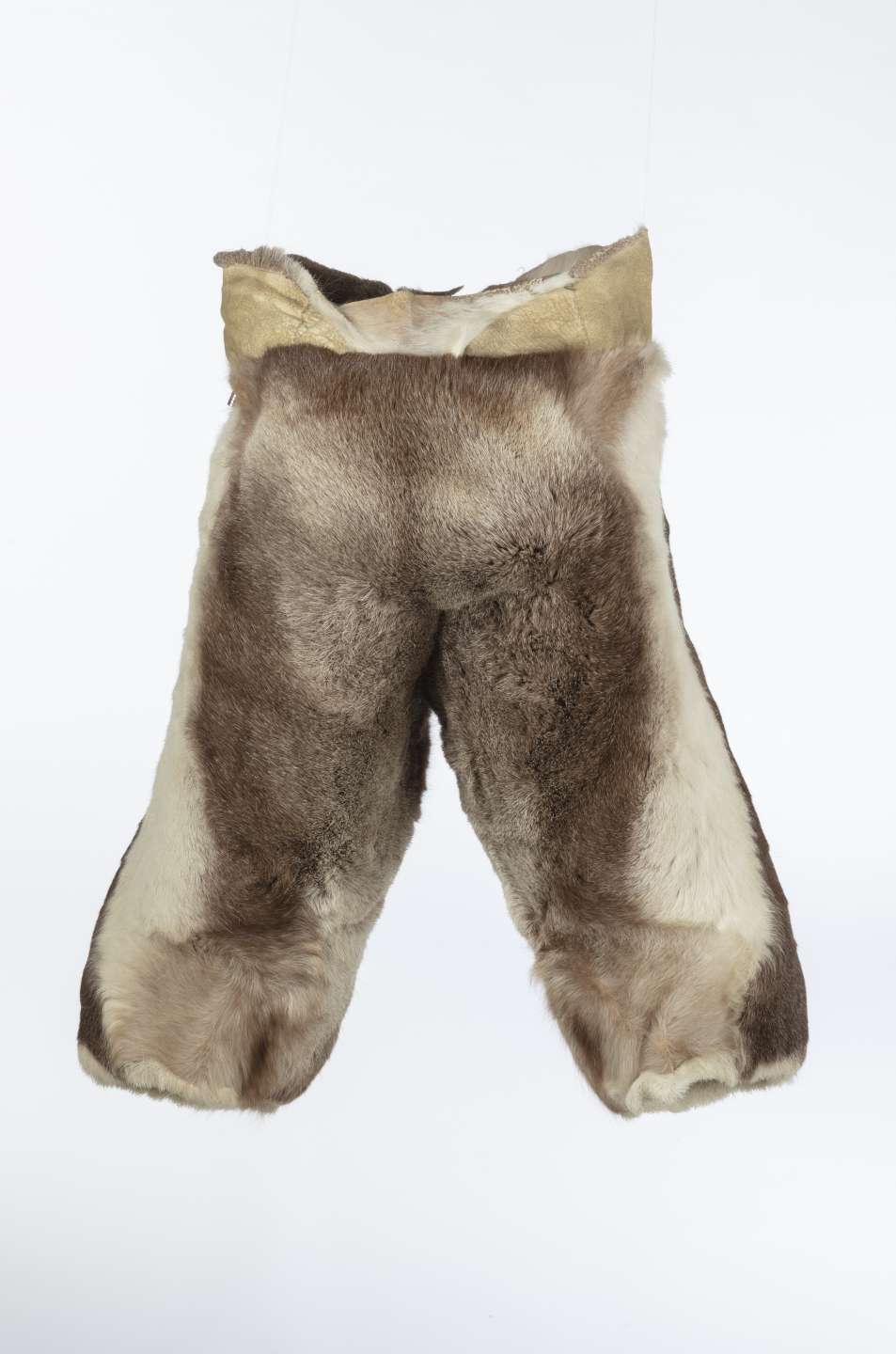 Pantalon en fourrure de caribou, vu de derri&egrave;re, avec une teinte brune centrale qui s&rsquo;&eacute;claircit vers le blanc sur les c&ocirc;t&eacute;s. La bande de cuir retourn&eacute; &agrave; la taille est plus basse &agrave; l&rsquo;arri&egrave;re qu&rsquo;&agrave; l&rsquo;avant.