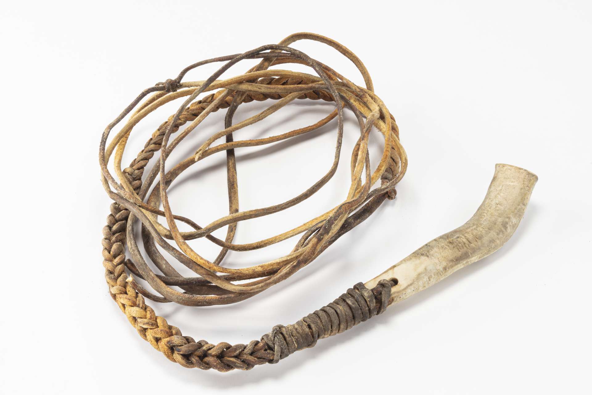 Fouet compos&eacute; d&rsquo;un manche en mati&egrave;re osseuse blanche l&eacute;g&egrave;rement courb&eacute;, auquel sont fix&eacute;es de longues lani&egrave;res de cuir enroul&eacute;es. La section qui se trouve pr&egrave;s du manche est tress&eacute;e.