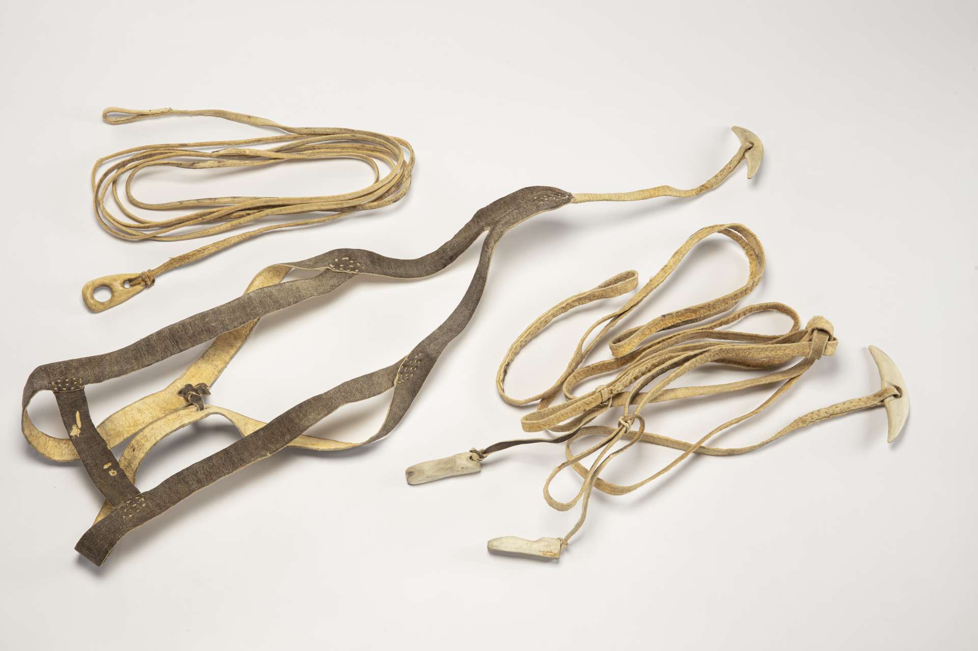 Ensemble de plusieurs &eacute;l&eacute;ments en cuir et en os. &Agrave; gauche, un harnais en cuir avec une large sangle et des lani&egrave;res formant un X. Une pi&egrave;ce en demi-lune est fix&eacute;e au bout du harnais. En haut du harnais, une ligne de tir en cuir enroul&eacute;e pr&eacute;sente une boucle &agrave; une extr&eacute;mit&eacute;, et une boucle en os &agrave; l&rsquo;autre. &Agrave; droite, une bride en cuir enroul&eacute;e pr&eacute;sente plusieurs boucles, deux petites pi&egrave;ces en os et une pi&egrave;ce en demi-lune fix&eacute;e &agrave; une des extr&eacute;mit&eacute;s.