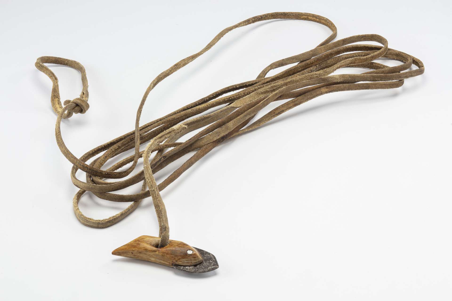 Longue corde en cuir brun enroul&eacute;e, avec une t&ecirc;te de harpon en mati&egrave;re osseuse blanche et brune et sa lame en m&eacute;tal &agrave; une extr&eacute;mit&eacute;, et une boucle en corde &agrave; l&rsquo;autre.